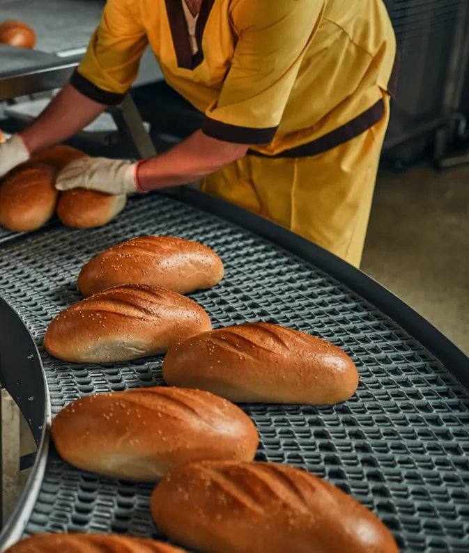 AdobeStock_421808075_result AdobeStock_421808075_result